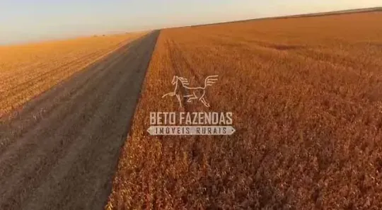 Fazenda/Sítio à venda, 37050000m² no , Alto Boa Vista
