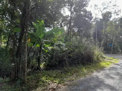 Lote/Terreno à venda, 325m² no Mariscal, Bombinhas