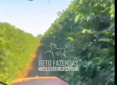 Fazenda/Sítio à venda, 10000000m² no , Ibiá