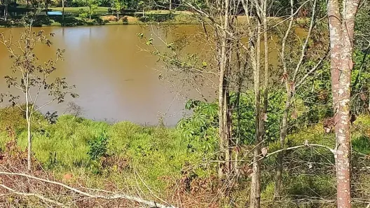 Fazenda/Sítio com 3 Quartos à venda, 40m² no , Itaberaí