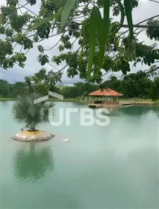Fazenda/Sítio com 3 Quartos à venda, 54831m² no , Turvânia