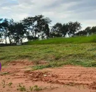 Fazenda/Sítio à venda, 1082m² no Parque Furquim, Presidente Prudente