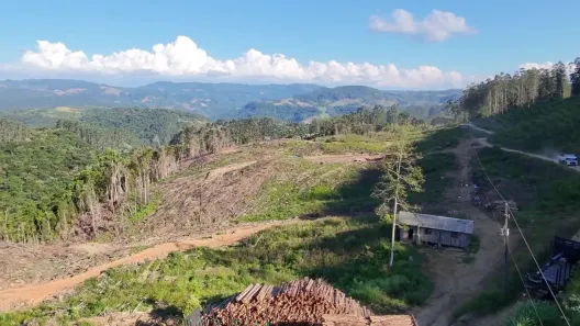 Fazenda/Sítio com 2 Quartos à venda, 623100m² no , Presidente Nereu
