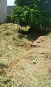 Lote/Terreno à venda, 400m² no Vila Bela, Bauru