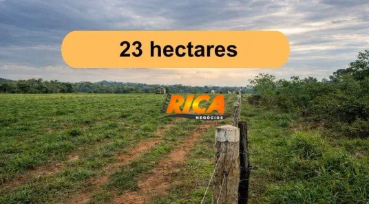 Fazenda/Sítio à venda, 240000m² no Rural, Urupá
