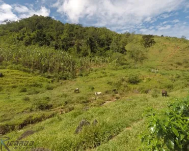 Fazenda/Sítio com 4 Quartos à venda, 2000m² no Comunidade Urbana de Iguape, Guarapari
