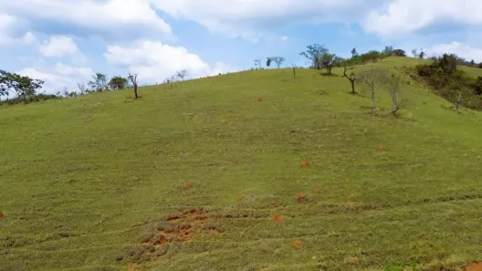 Lote/Terreno à venda, 300000m² no , Paraisópolis