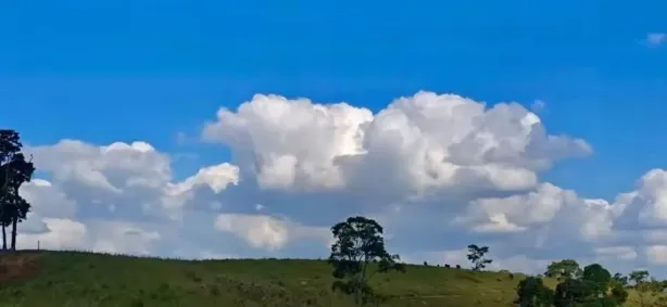 Lote/Terreno à venda, 5000m² no , Cambuí