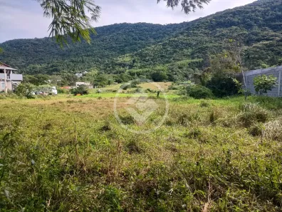 Lote/Terreno à venda, 7000m² no São João do Rio Vermelho, Florianópolis