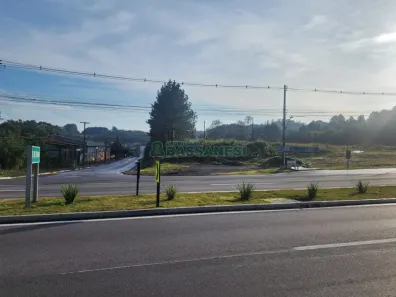 Lote/Terreno à venda, 19801m² no Parque, Farroupilha