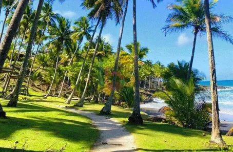 Prédio Comercial com 6 Quartos à venda, 344m² no Centro, Itacaré