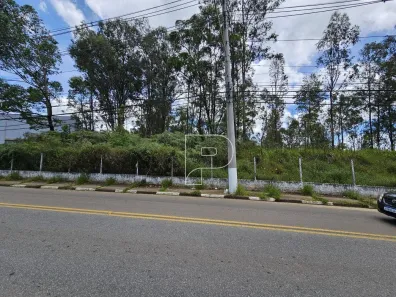 Lote/Terreno à venda, 3800m² no Jardim das Flores, Cotia