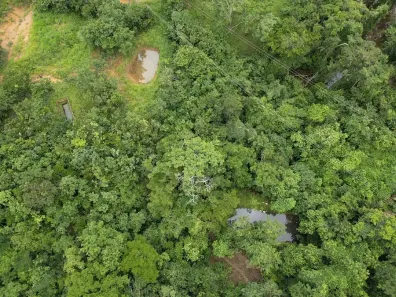 Fazenda/Sítio à venda, 15m² no , São Miguel do Passa Quatro