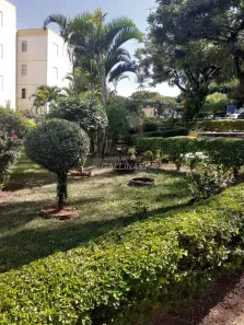 Apartamento com 2 Quartos à venda, 42m² no Conjunto Residencial Parque Bandeirantes, Campinas
