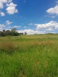 Fazenda/Sítio à venda, 53000m² no Santo Antônio do Sapezeiro, Santa Bárbara D'Oeste