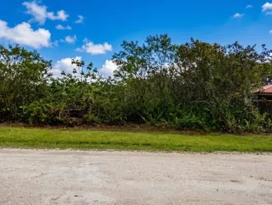 Lote/Terreno à venda, 1000m² no Est São Marcos, Peruíbe