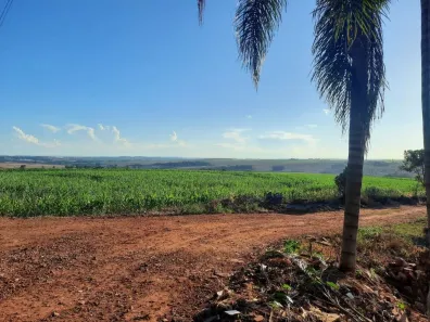 Fazenda/Sítio à venda, 242000m² no Jardim São Domingos, Maringá