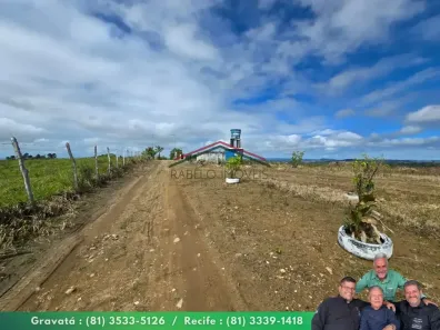 Fazenda/Sítio à venda, 3600000m² no Centro, Amaraji