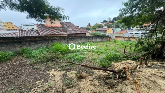 Lote/Terreno à venda, 293m² no Alto Caiçaras, Belo Horizonte