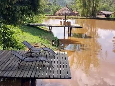 Fazenda/Sítio com 5 Quartos à venda, 720000m² no Centro, Rio Pomba