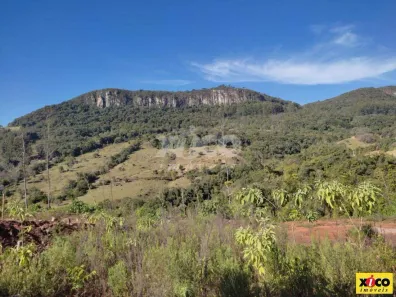 Fazenda/Sítio com 1 Quarto à venda, 5000m² no Dos Boêmios, Nova Petrópolis