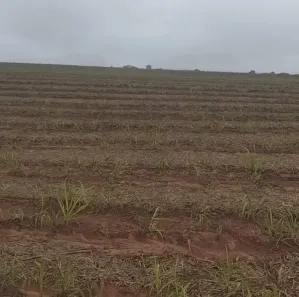 Fazenda/Sítio à venda, 137940m² no , Colorado
