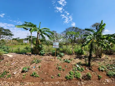 Lote/Terreno à venda, 4900m² no Jardim Jandira, São José do Rio Preto
