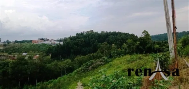 Lote/Terreno à venda, 14084m² no Nossa Senhora da Conceição, Caxias do Sul
