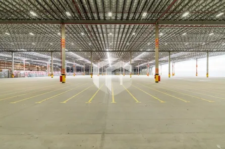 Galpão/Depósito/Armazém para alugar, 30069m² no Parque dos Estados, Louveira