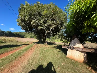 Fazenda/Sítio à venda, 15478m² no Bairro Limoeiro, Londrina