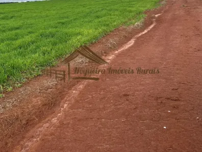 Fazenda/Sítio à venda, 1m² no Área Rural de Avaré, Avaré