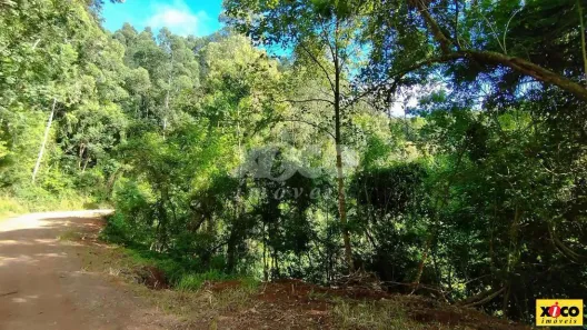 Fazenda/Sítio com 1 Quarto à venda, 18075m² no , Linha Nova