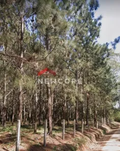Fazenda/Sítio à venda, 200m² no , Sao Miguel Arcanjo