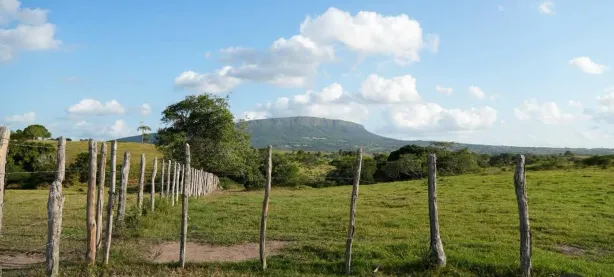 Lote/Terreno à venda, 133100m² no Área Rural de Itabaiana, Itabaiana
