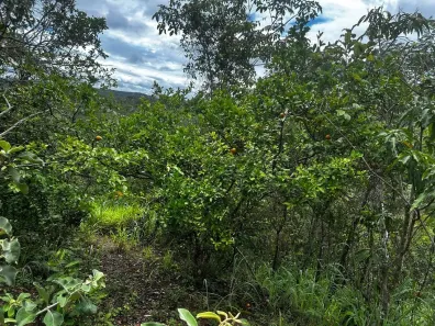 Fazenda/Sítio à venda, 20000m² no , Brasília