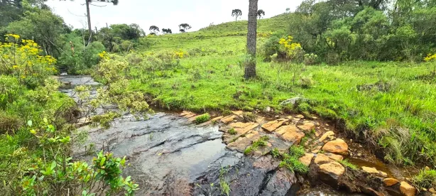 Fazenda/Sítio à venda, 50000m² no São Joaquim, São Joaquim