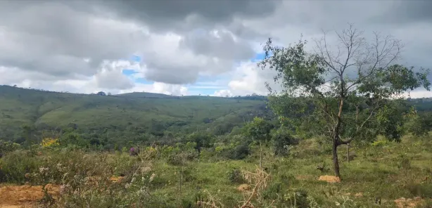 Lote/Terreno à venda, 20000m² no , Cordisburgo