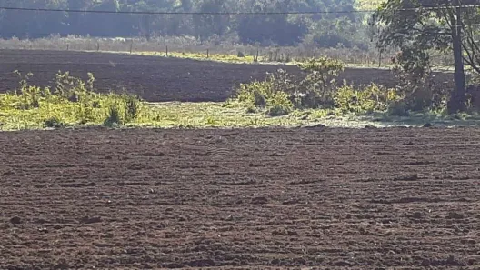 Fazenda/Sítio à venda, 51000m² no Serra Velha, Elias Fausto