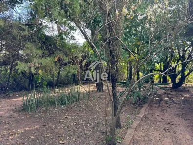 Fazenda/Sítio com 1 Quarto à venda, 5000m² no Sítios de Recreio Santa Carolina, Marília