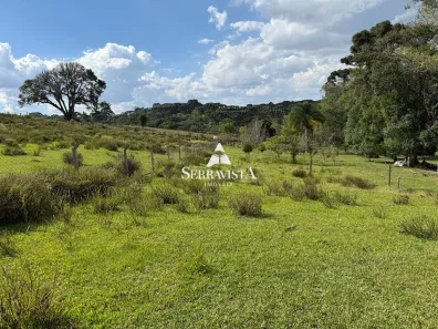 Fazenda/Sítio com 1 Quarto à venda, 20000m² no , Campo Alegre