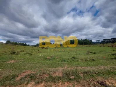 Fazenda/Sítio à venda, 40000m² no Criúva, Caxias do Sul
