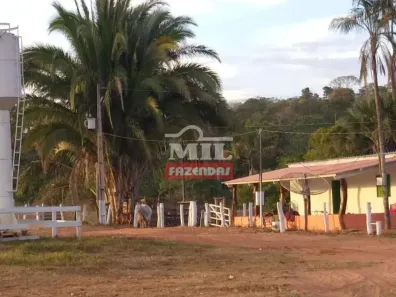 Fazenda/Sítio à venda, 500m² no Centro, Alto Araguaia