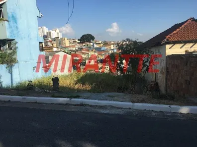 Lote/Terreno à venda, 326m² no Vila Carbone, São Paulo