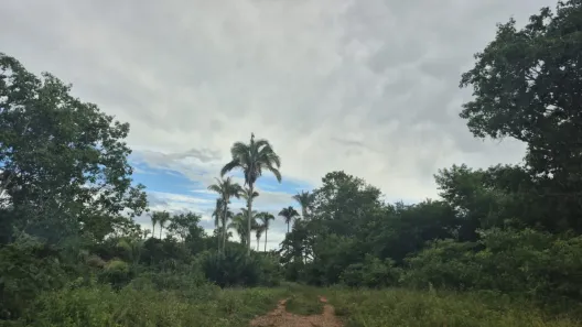 Fazenda/Sítio com 3 Quartos à venda, 23500000m² no , Buritis