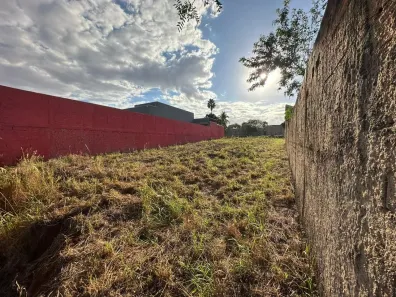 Lote/Terreno à venda, 567m² no Jardim Itaú, Ribeirão Preto