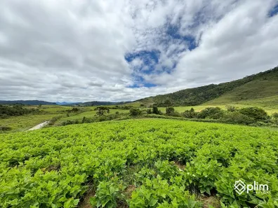 Fazenda/Sítio à venda, 30000m² no , Bom Retiro