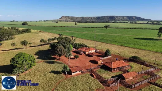 Fazenda/Sítio com 4 Quartos à venda, 28m² no Alexandrina, Quirinópolis
