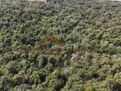 Fazenda/Sítio à venda, 1m² no Área Rural de Botucatu, Botucatu