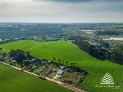 Fazenda/Sítio com 3 Quartos à venda, 316m² no Ciman, Mandirituba