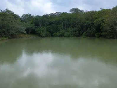 Fazenda/Sítio à venda, 200m² no , Água Fria de Goiás